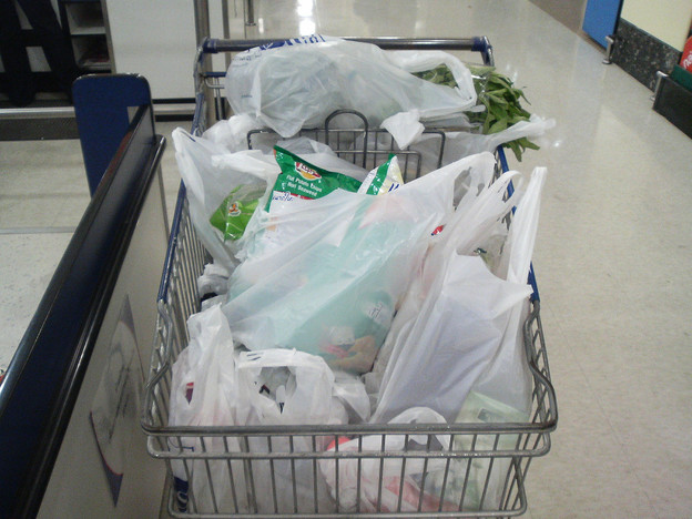 Kanada zabranjuje uporabu plastičnih vrećica