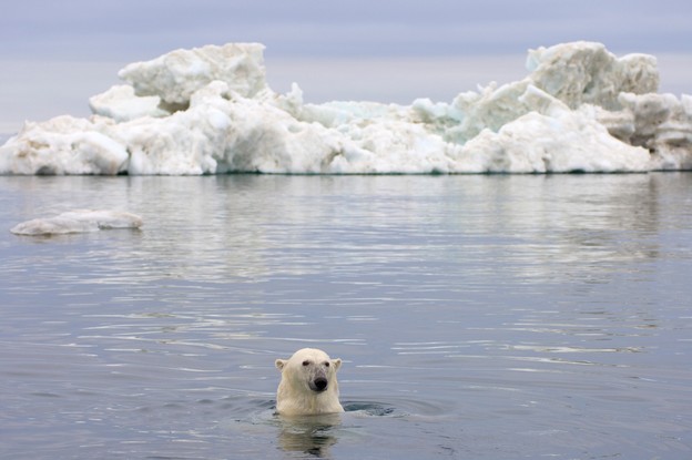 Najniža razina arktičkog leda u povijesti
