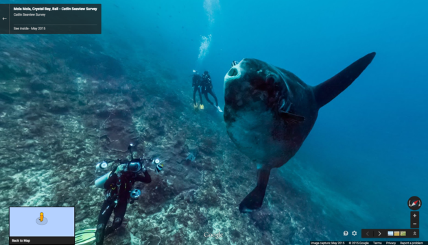 VIDEO: 40 novih Street View podvodnih lokacija