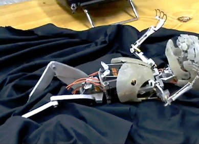 Beba robot izaziva jezu Beba robot izaziva jezu