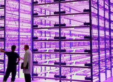Jesu li ružičasti hangari budućnost agrikulture