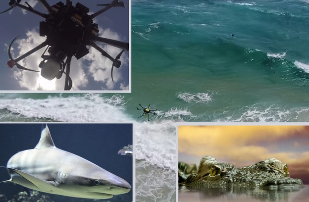 VIDEO: Dronovi čuvaju Australce od morskih pasa i krokodila