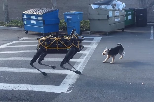 VIDEO: Googleov robot Spot igra se s pravim psom