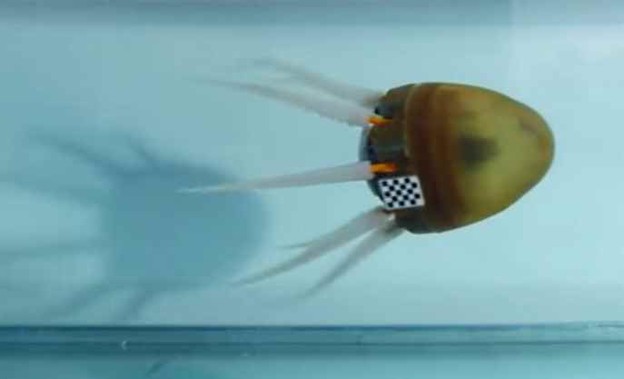 VIDEO: Hobotnica robot dobila mekane krakove