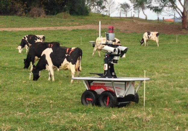 VIDEO: Robot kauboj čuva i tjera krave