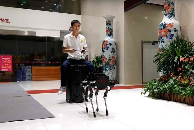 VIDEO: U prodaji spretni kineski robot pas
