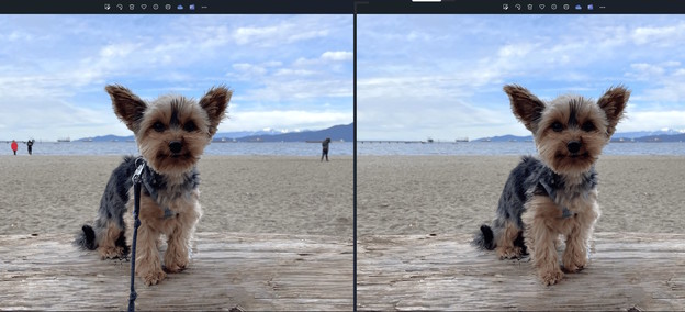 Windows Photos dobiva generativno brisanje