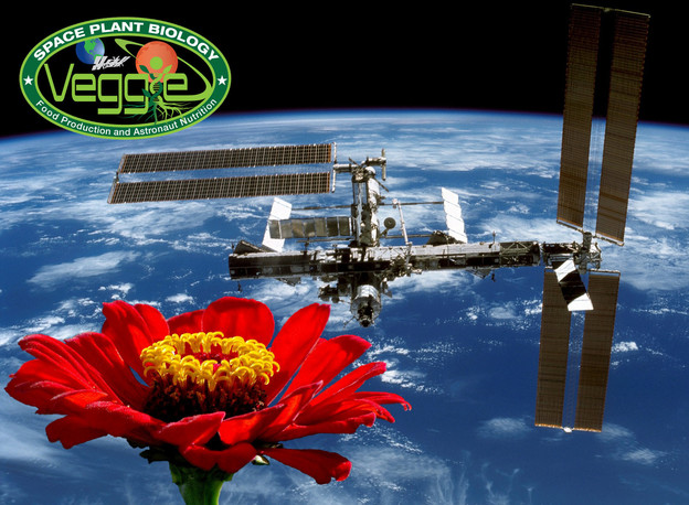 Astronauti započinju uzgoj cvijeća na ISS-u