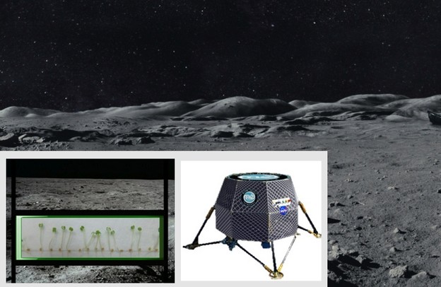 NASA 2015. gradi povrtnjak na Mjesecu