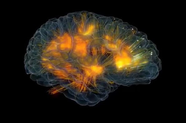 3D model prikazuje ispaljivanje neurona u realnom vremenu
