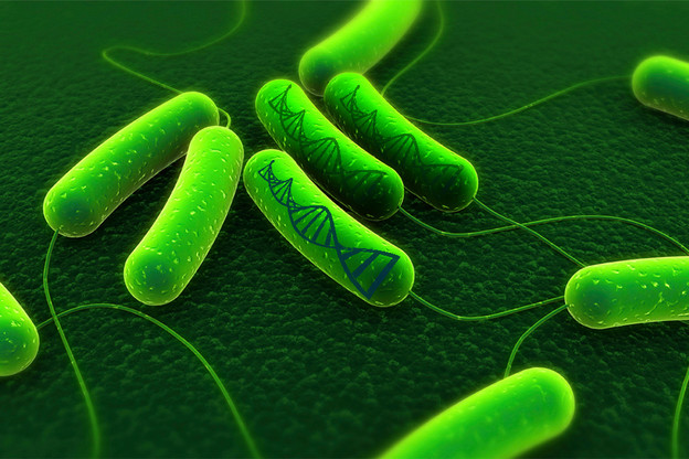 Modificirana bakterija za pohranu podataka