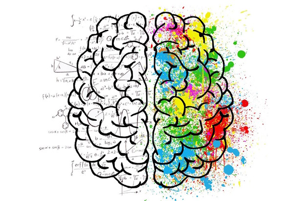 Mozak ima dvije vrste pamćenja