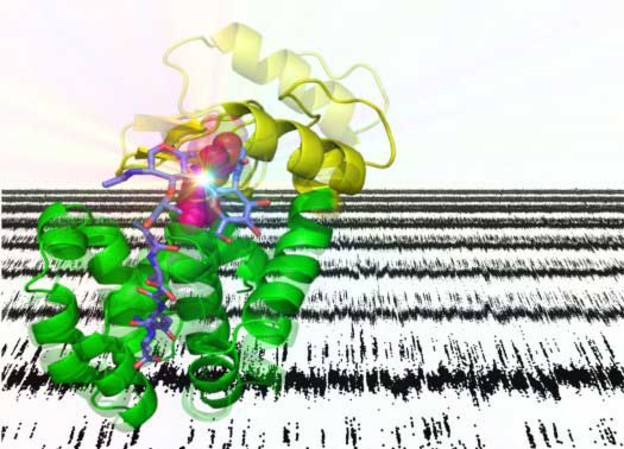 Nanotranzistor proučava proteine u ljudskim suzama