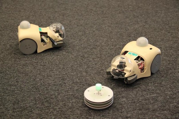 Proučavanje evolucije pomoću miša robota