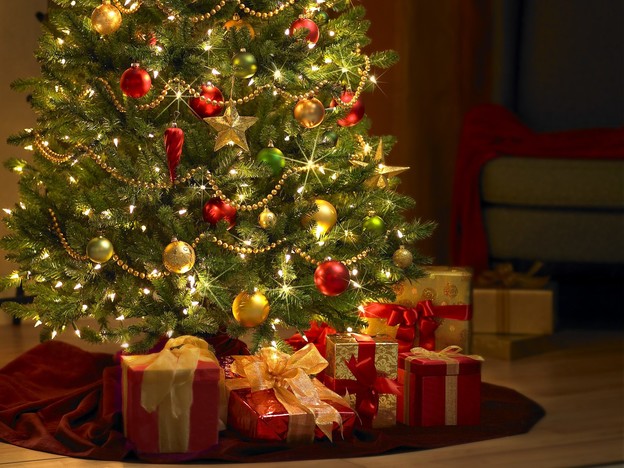 Sječa božićnog drvca ekološki prihvatljivija od umjetnog