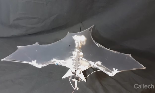 VIDEO: Autonomni dron leti kao šišmiš VIDEO: Autonomni dron leti kao šišmiš