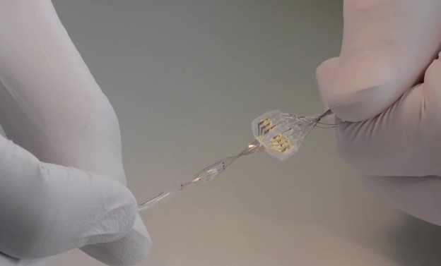 VIDEO: Implantat koji omogućuje hodanje paraliziranom mišu