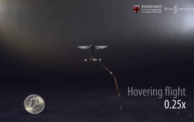 VIDEO: Prvi kontrolirani let robota insekta