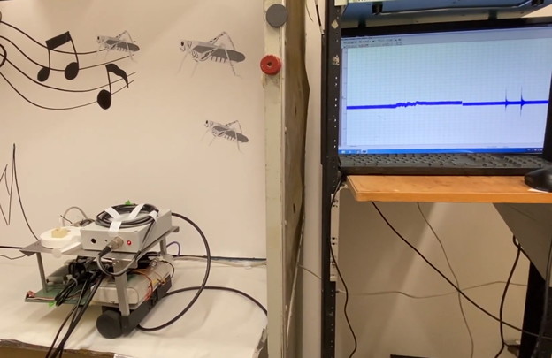 VIDEO: Robot sluša uhom mrtvaca