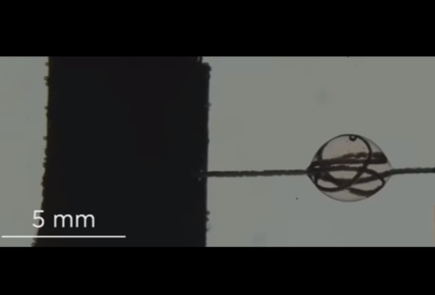 VIDEO: Tekuća žica poput paukove svile