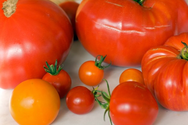Zašto su rajčice iz supermarketa bezukusne