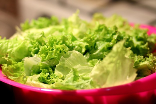 Biljni inzulin dobiven iz salate može se uzimati oralno