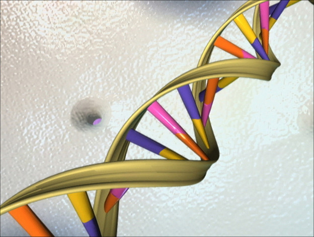Kako sačuvati DNK i živjeti 25 godina dulje?