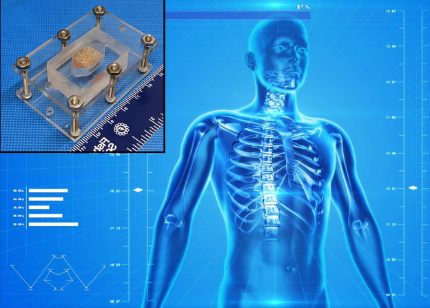 NASA dodijelila nagradu za 3D printanje tkiva jetre