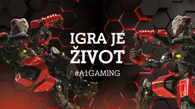 Mreža svih gamera Mreža svih gamera