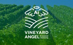 Vineyard Angel je domaće AI rješenje za poljoprivredu