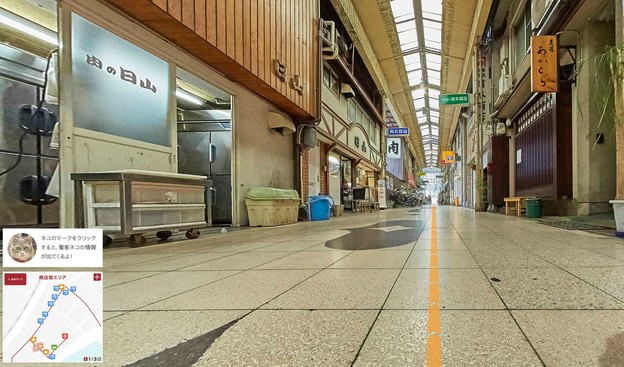 Japanci napravili prvi mačji Street View Japanci napravili prvi mačji Street View