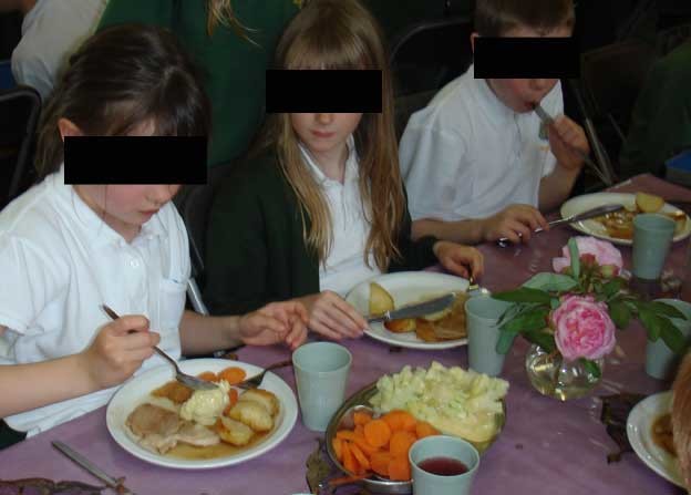 OŠ Popovača: Učenici se zarazili obrokom u školi