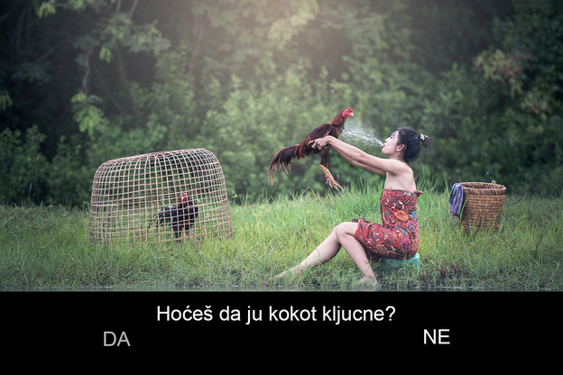 I YouTube radi na interaktivnim TV filmovima I YouTube radi na interaktivnim TV filmovima