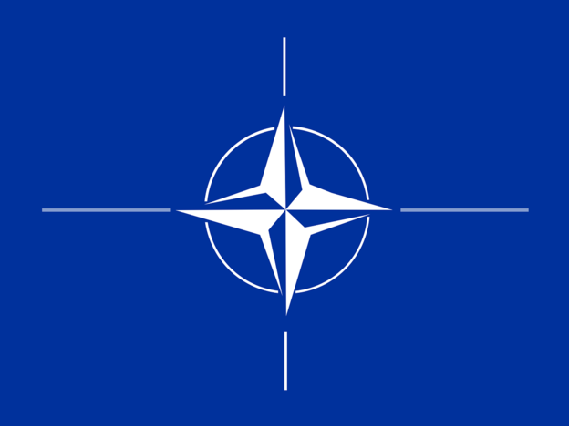 NATO: Cyber napad na jednu članicu je napad na sve NATO: Cyber napad na jednu članicu je napad na sve