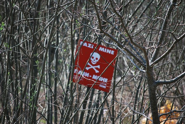 Bakterije i laseri za otkrivanje mina Bakterije i laseri za otkrivanje mina