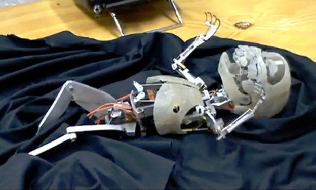 Beba robot izaziva jezu Beba robot izaziva jezu