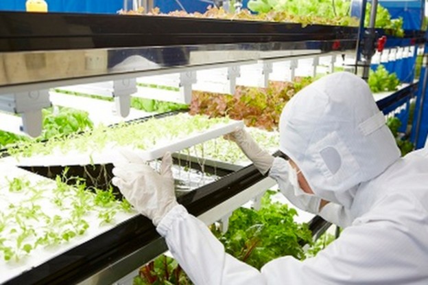 Farma budućnosti bez sunca i zemlje Farma budućnosti bez sunca i zemlje