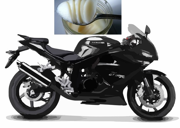 Motocikl na svinjsku mast Motocikl na svinjsku mast