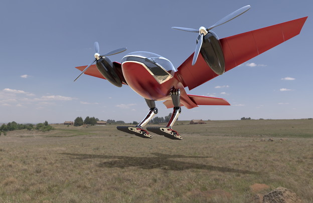 VIDEO: Afrički leteći auto je ptica