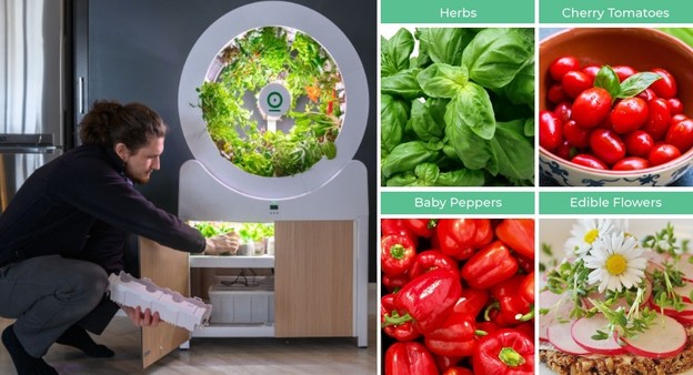 VIDEO: Automatski sobni vrt za uzgajanje voća i povrća