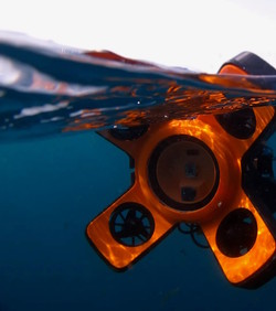 VIDEO: Autonomni robot za mapiranje podvodnih livada