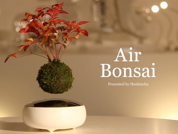 VIDEO: Bonsai drvca koja levitiraju u zraku VIDEO: Bonsai drvca koja levitiraju u zraku