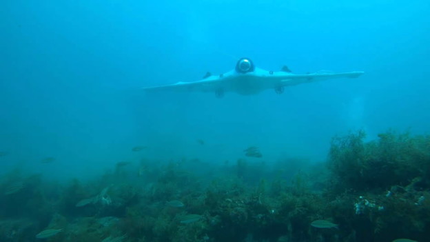 VIDEO: Dron za otkrivanje podvodnog blaga