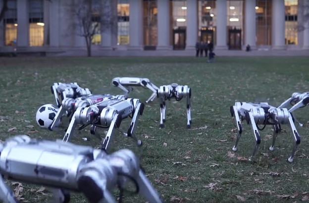 VIDEO: Mini cheetah roboti igraju nogomet VIDEO: Mini cheetah roboti igraju nogomet