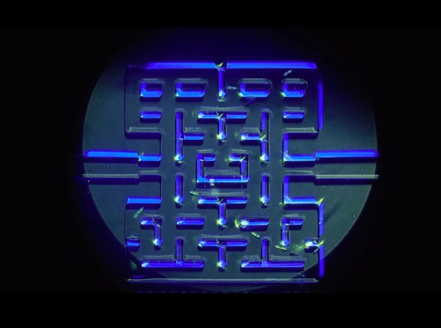 VIDEO: Pacman na mikroskopskoj razini VIDEO: Pacman na mikroskopskoj razini