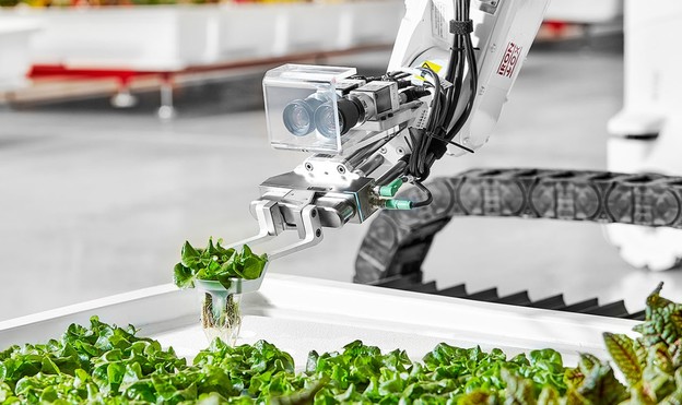 VIDEO: Prva potpuno robotizirana farma na svijetu VIDEO: Prva potpuno robotizirana farma na svijetu