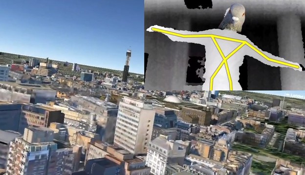 VIDEO: Simulator leta goluba