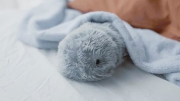 VIDEO: Slatki robot kućni ljubimac s emocijama VIDEO: Slatki robot kućni ljubimac s emocijama