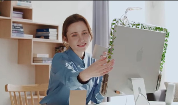 VIDEO: Uzgajajte puzavice na svom monitoru VIDEO: Uzgajajte puzavice na svom monitoru