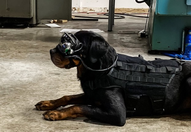 Vojska testira AR naočale za pse